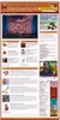 Thumbnail Irritable Bowel Syndrome Website with PLR Thumbnail Irritable Bowel Syndrome Website with PLR