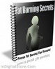 Thumbnail Fat Burning Secrets with PLR