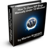 Thumbnail Clone WP Blogs Manually - Ebook with MRR