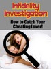 Thumbnail Infidelity Investigation - Ebook with PLR