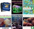 Thumbnail Fantastic Fish Profits -5 eBooks , Articles & Videos with RR
