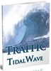 Thumbnail Traffic Tidal Wave - eBook with MRR 