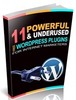 Thumbnail 11 Powerful Wordpress Plugins For Internet Marketers - eBook  with MRR