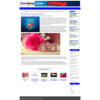 Thumbnail CleanSense - WP Theme with PLR License