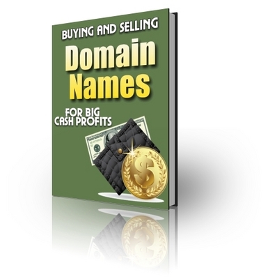Product picture Buying and Selling Domain Names PLR Included
