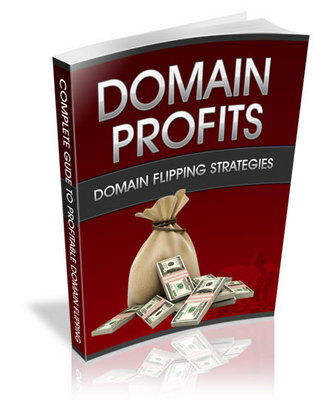 Product picture DOMAIN PROFITS DOMAIN FLIPPING STRATEGIES