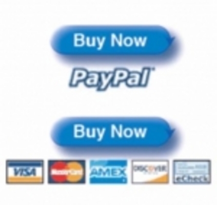 Product picture Create Paypal Buy Now Button PLR Video