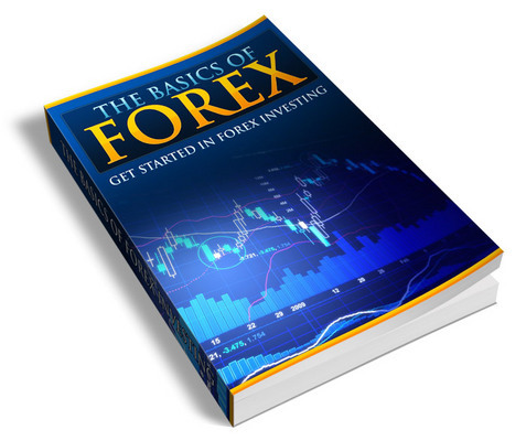Product picture The Basics Of Forex with PLR