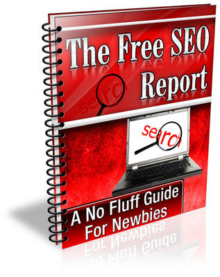 Product picture SEO Report with Master Resell Rights