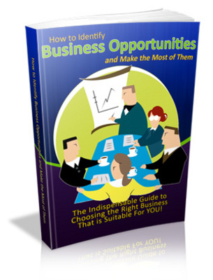 Product picture How To Identify Business Opportunities with MRR