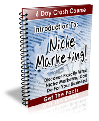 Product picture Introduction To Niche Marketing with PLR