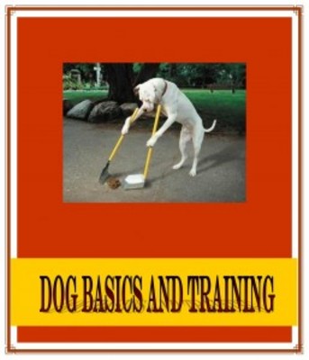 Product picture Dog Basics and Training with Private Label Rights