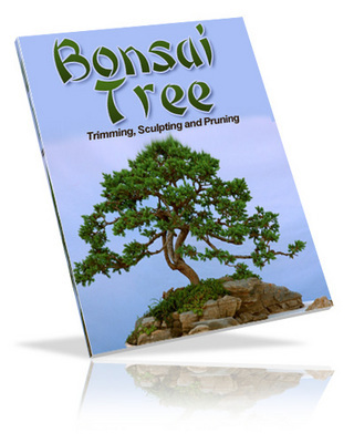 Product picture Bonsai Tree with Private Label Rights