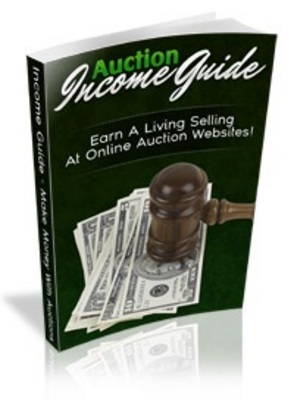 Product picture Auction Income Guide 