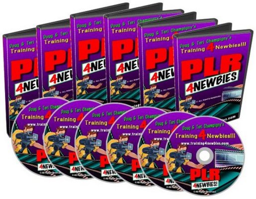 Product picture PLR For Newbies Videos with Master Resell Rights