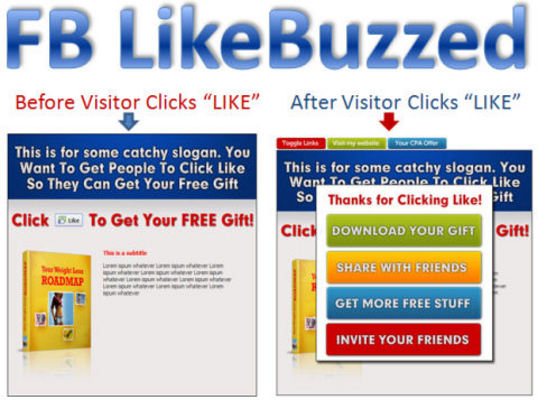 Product picture Like Buzz Facebook Fan Page Script with PLR