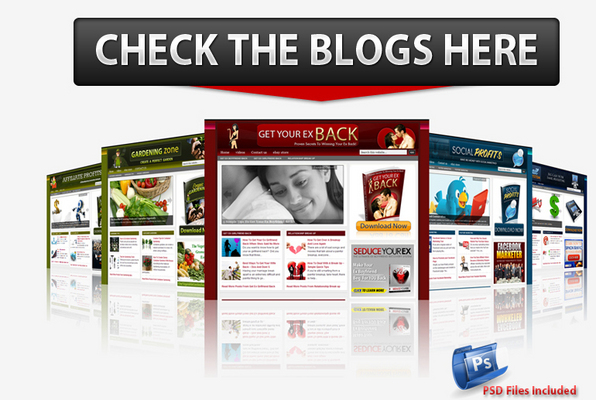 Product picture Premium Niche Blog Pack with MRR