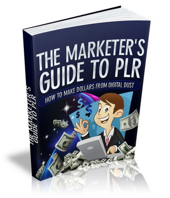 Product picture The Marketers Guide To PLR with MRR