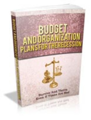 Product picture Budget And Organization Plans For The Recession with MRR