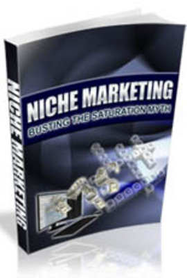 Product picture Niche Marketing Busting the Saturation Myth