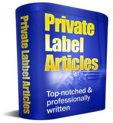 Product picture 10 Blogging for Profit Articles with Private Label Rights