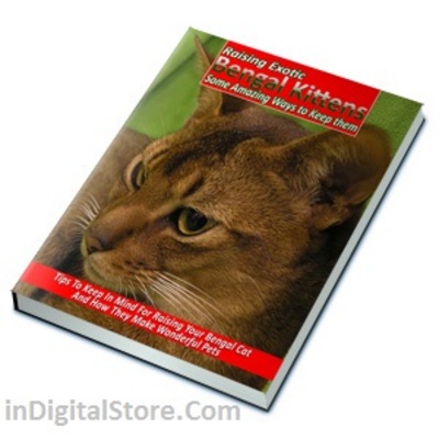 Product picture Raising Exotic Bengal Kittens - Ebook & Audio Package with MRR