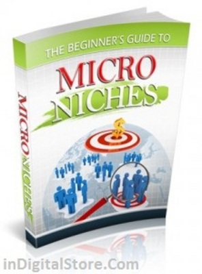 Product picture The Beginners Guide To Micro Niches with PLR