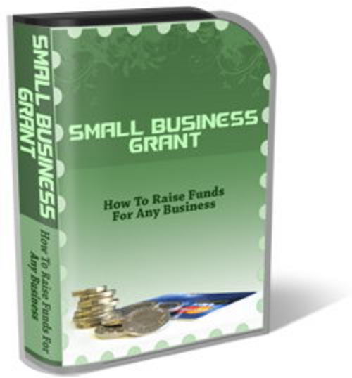 Product picture Small Business Grant Template Pack - Template