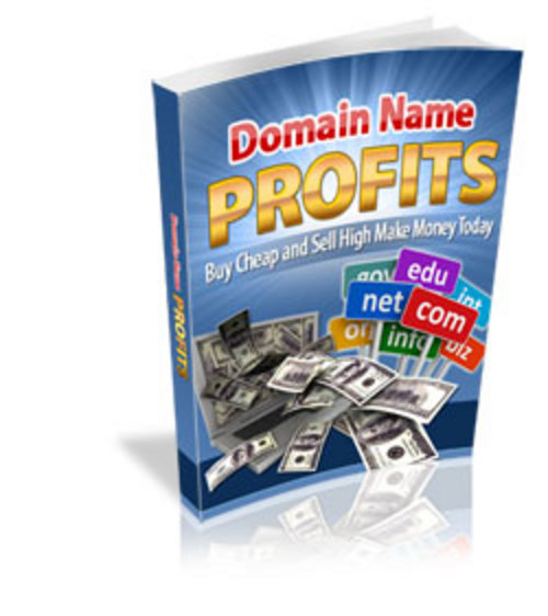 Product picture Domain Name Profits - ebook with MRR
