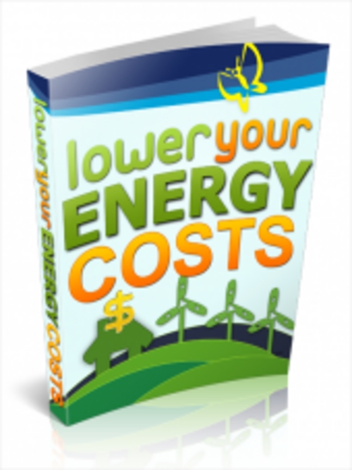 Product picture Lower Your Energy Costs - Ebook with PLR