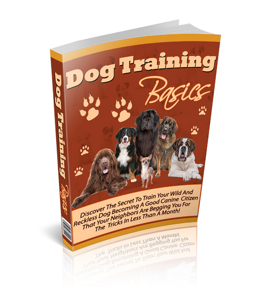 Product picture Dog Training Basics - Ebook with RR