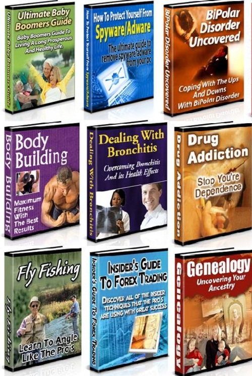 Product picture 42 PLR Niche Products Package