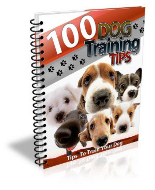 Product picture 100 Dog Training Tips - Ebook with MRR