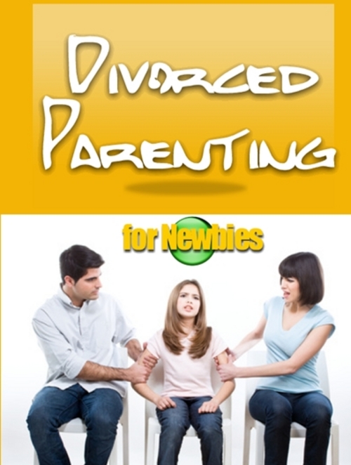 Product picture Divorced Parenting for Newbies - Ebook with PLR