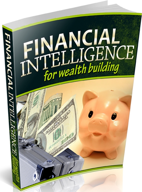 Product picture Financial Intelligence for Wealth Building - eBook with PLR