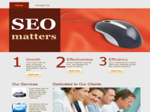 Product picture SEO Templates HTML& WordPress Theme with PLR