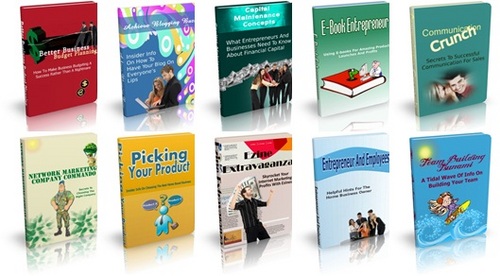 Product picture Business PLR Pack - 10 eBooks with MRR
