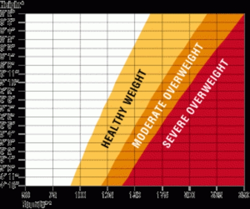 Product picture My Life My Diet - 2 eBooks with PLR