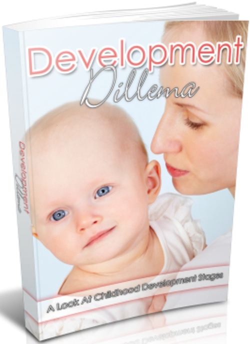 Product picture Development Dilemma - eBook with MRR