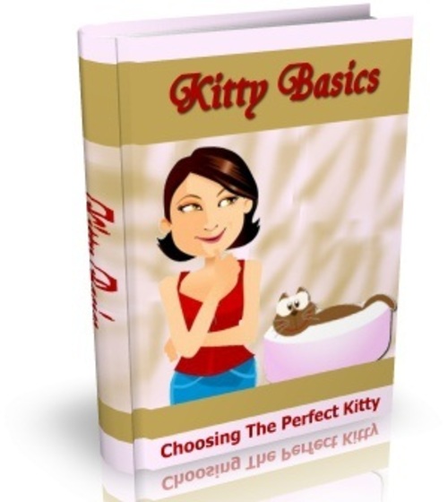 Product picture Kitty Basics - eBook with MRR