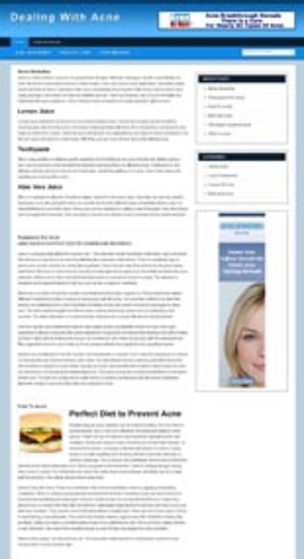 Product picture Acne Niche Blog - WP Blog with PLR