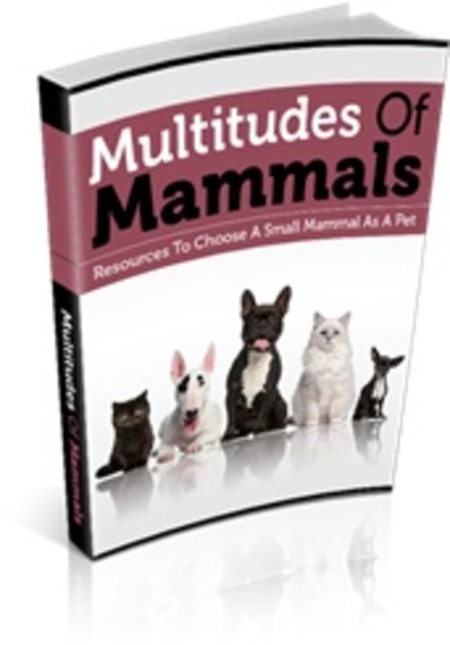Product picture Multitudes Of Mammals - eBook & Report with MRR