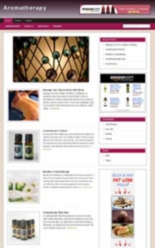 Product picture Aroma Niche Blog ( WP Blog with PLR License)