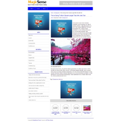 Product picture MagicSense WP Theme - with PLR License