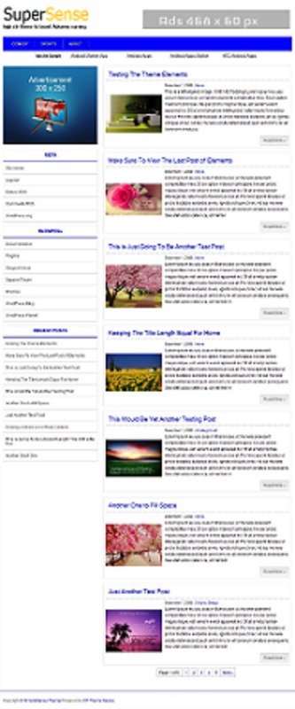 Product picture SuperSense WP Theme - with PLR License