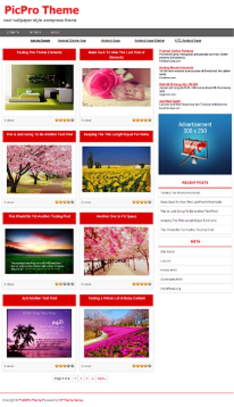Product picture PicPro WP Theme - with PLR License