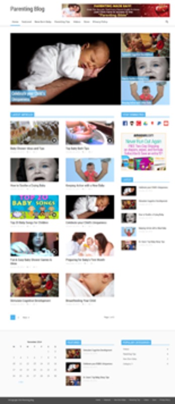 Product picture Parenting Niche WP Blog