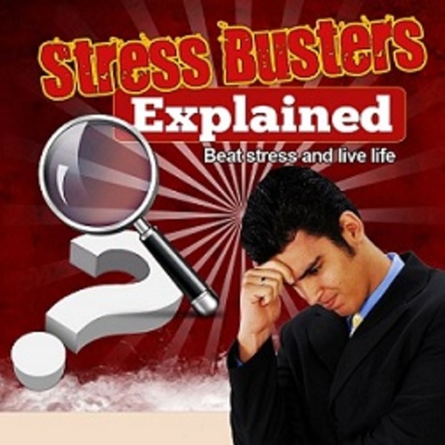 Product picture Stress Busters Explained