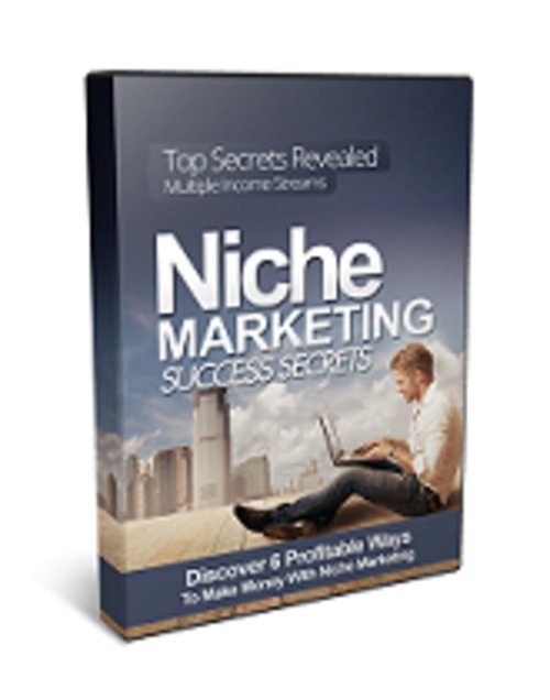 Product picture Niche Marketing Success Secrets
