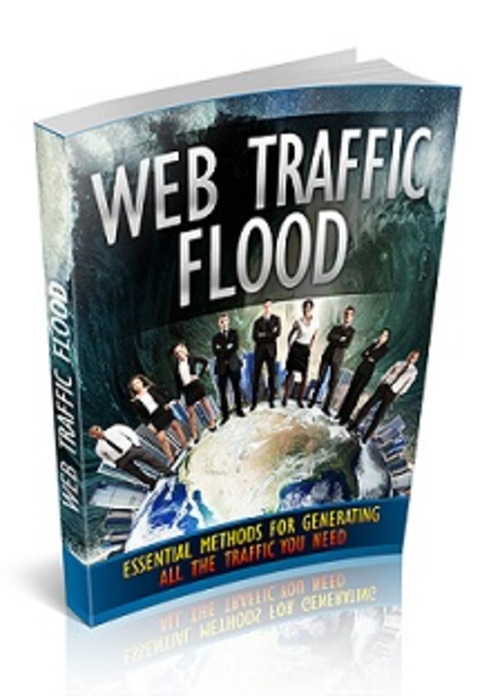 Product picture Web Traffic Flood